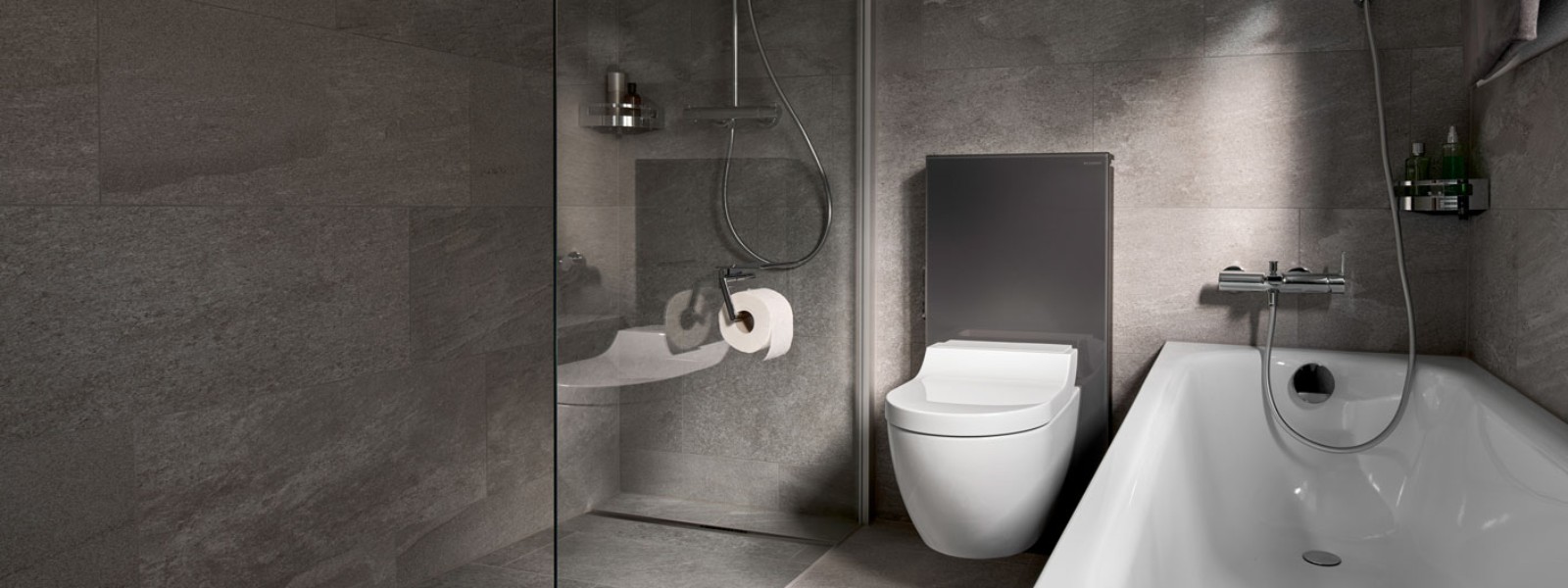 Après rénovation Geberit