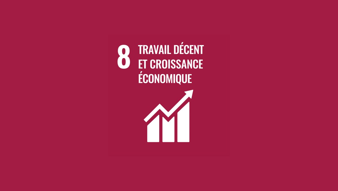 Objectif 8 des Nations unies «Travail décent et croissance économique»