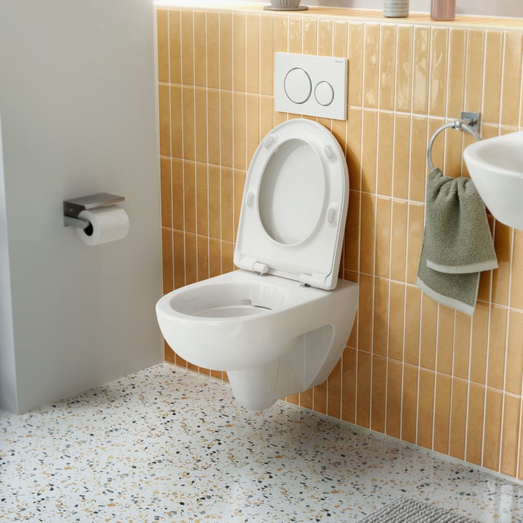 WC Geberit Renova sans reborde de rinçage ouvert WC Geberit Renova sans reborde de rinçage ouvert