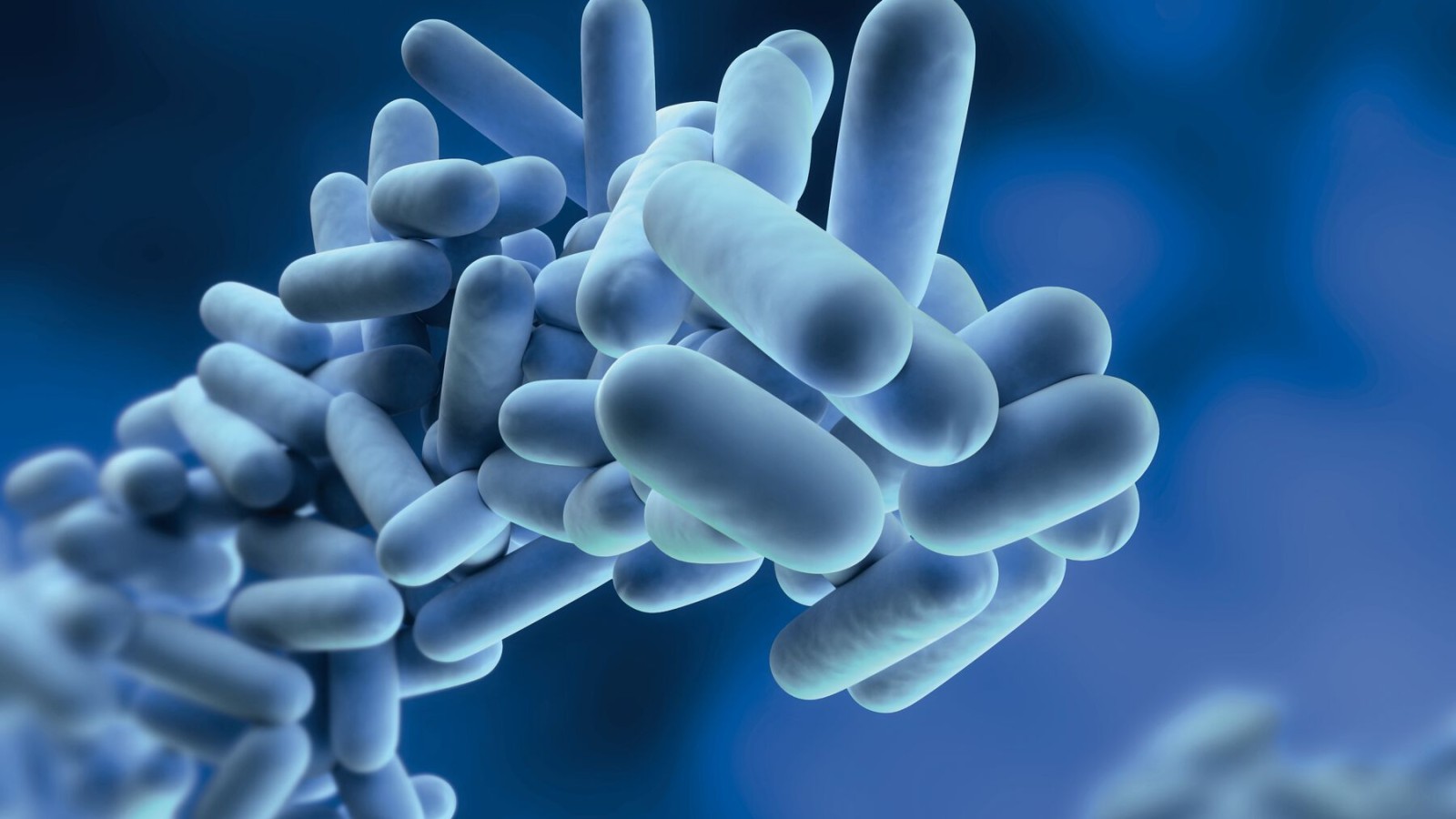 La legionella è un batterio che può moltiplicarsi nell’acqua potabile. La legionella è un batterio che può moltiplicarsi nell’acqua potabile.
