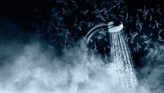 Les bactéries se multiplient dans l’eau potable lorsqu’elles y trouvent des conditions favorables Les bactéries se multiplient dans l’eau potable lorsqu’elles y trouvent des conditions favorables