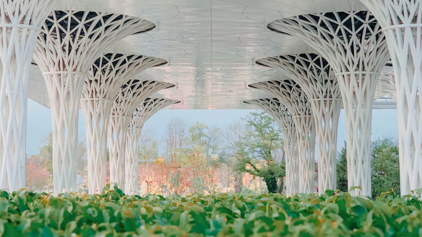 Un jardin de près de 300 m² a été aménagé le long de l’édifice (© Alek Małchowski) Un jardin de près de 300 m² a été aménagé le long de l’édifice (© Alek Małchowski)