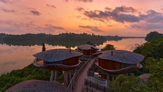 Les maisons en forme de gousse de graines du Mandai Rainforest Resort (© Banyan Tree) Les maisons en forme de gousse de graines du Mandai Rainforest Resort (© Banyan Tree)