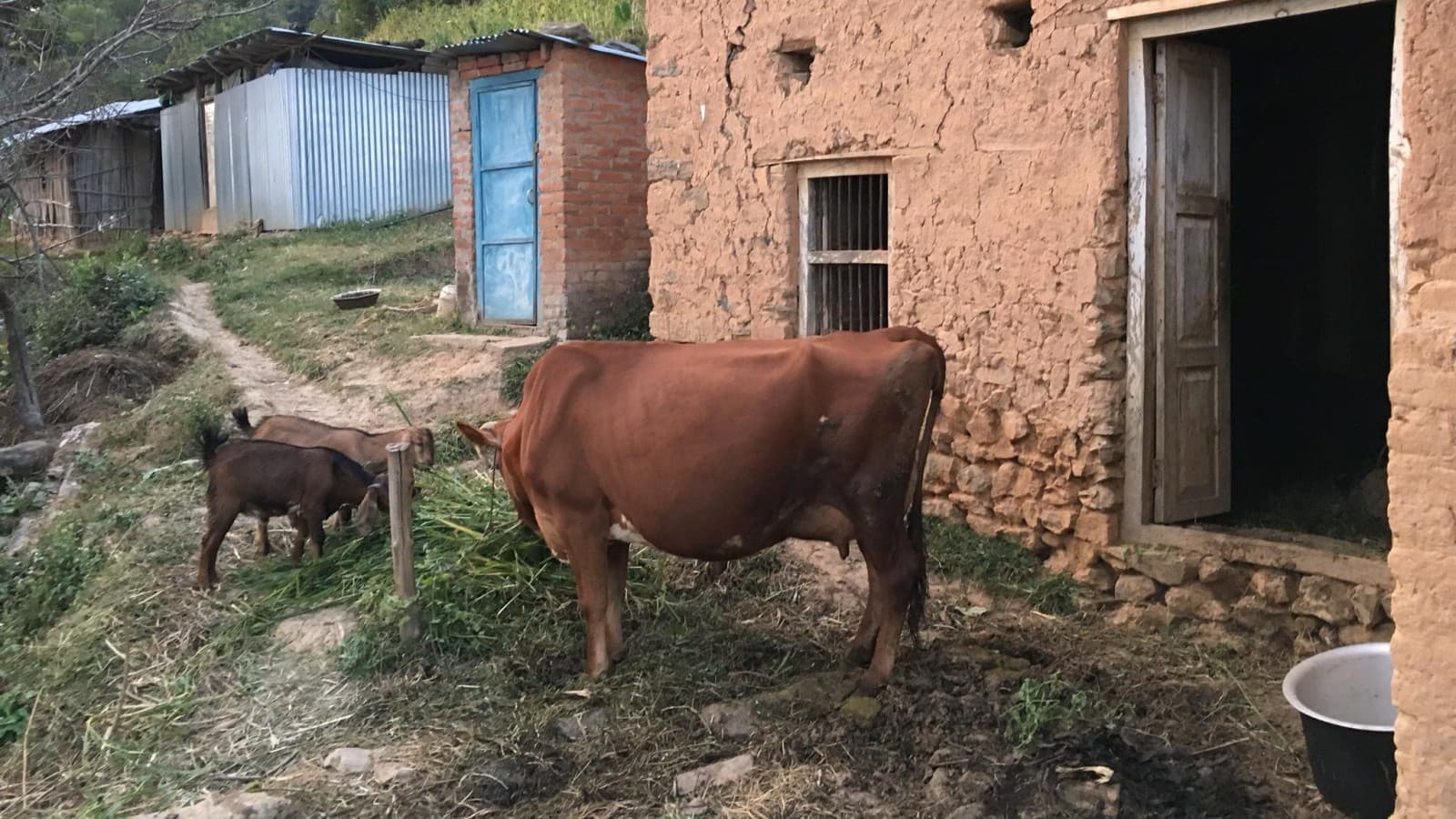 Perspektivenwechsel 2019 Perspektivenwechsel 2019