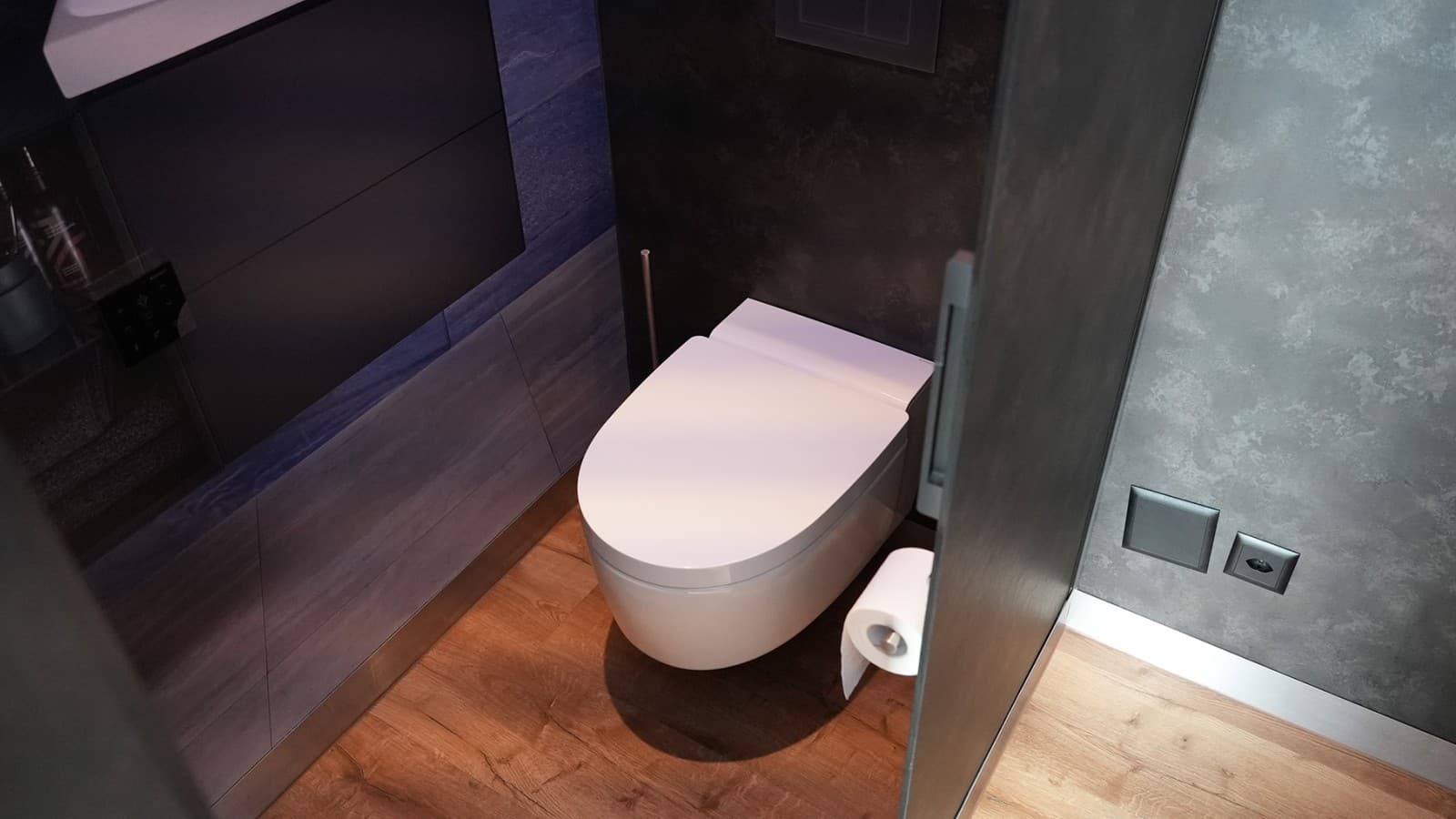 Modernes Dusch-WC Geberit AquaClean Mera in hochwertig ausgestatteter Sanitärkabine Modernes Dusch-WC Geberit AquaClean Mera in hochwertig ausgestatteter Sanitärkabine