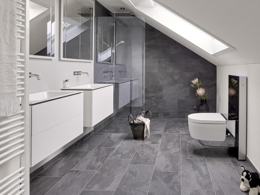 Bagno con tetto spiovente Bagno con tetto spiovente