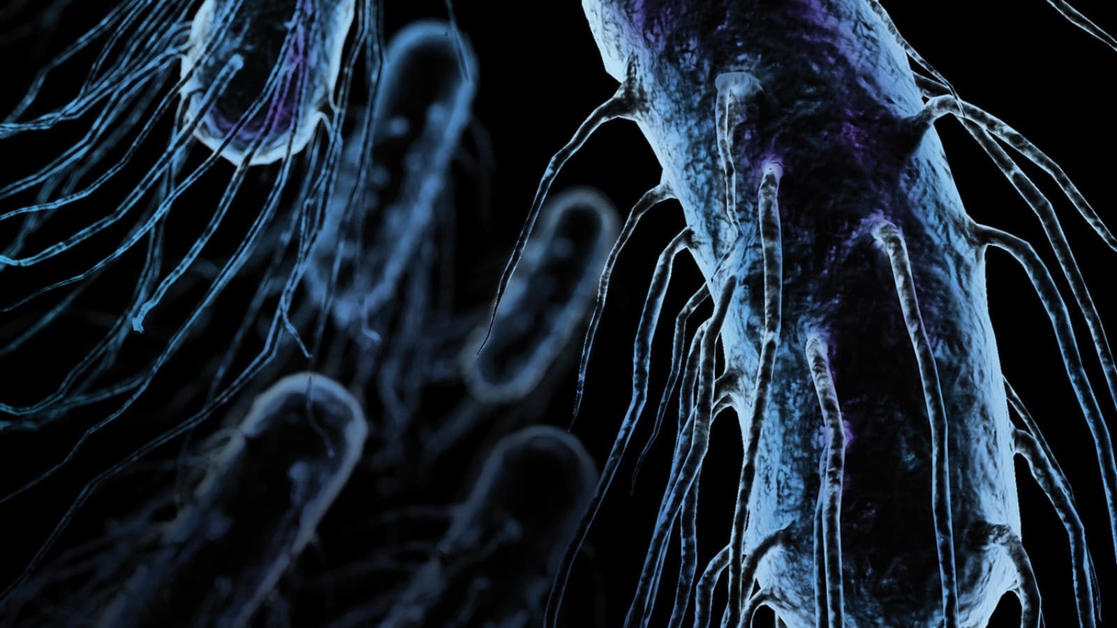 Legionellen Legionellen