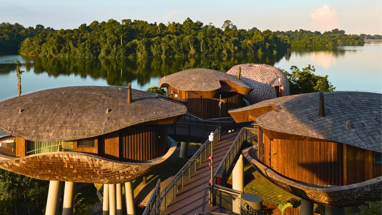 Les maisons dans les arbres s’inspirent de gousses de graines et permettent à la forêt vierge de se développer entre elles. (© Banyan Tree) Les maisons dans les arbres s’inspirent de gousses de graines et permettent à la forêt vierge de se développer entre elles. (© Banyan Tree)